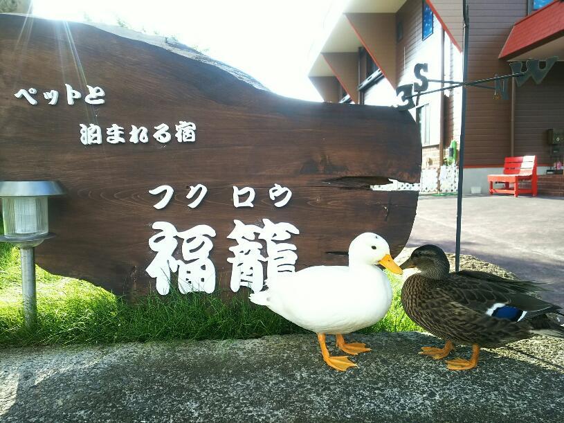串本町 福籠ヴィラ エクステリア 写真